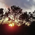 4 Star Holiday Home In Thisted